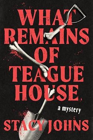 What Remains of Teague House: A Mystery by Stacy Johns