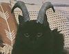 ina_pages's profile picture