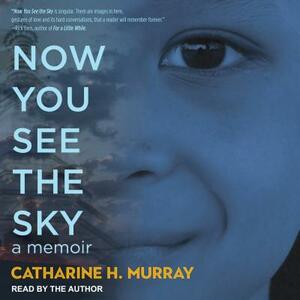 Now You See the Sky by Catharine H. Murray