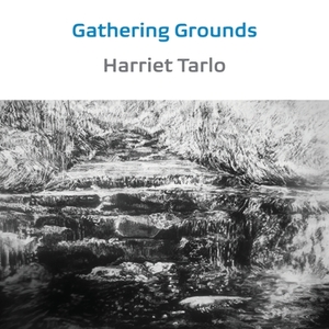 Gathering Grounds: 2011-2019 by Harriet Tarlo