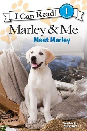 Marley & Me: Meet Marley by Natalie Engel, Don Roos, Scott Frank, John Grogan