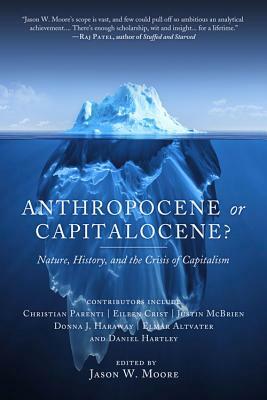 Anthropocene or Capitalocene?: Nature, History, and the Crisis of Capitalism by Eileen C. Crist, Elmar Altvater