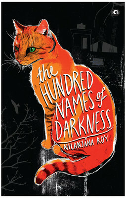 The Hundred Names of Darkness by Nilanjana Roy