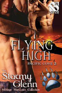 Flying High by Stormy Glenn
