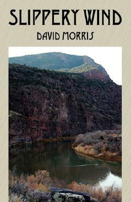 Slippery Wind by David Morris