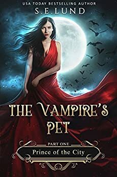 Prince of the City by S.E. Lund