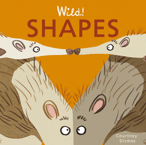 Shapes by Courtney Dicmas