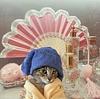 melf's profile picture