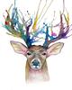 kittkin's profile picture
