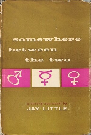 Somewhere Between the Two by Jay Little