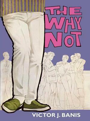 The Why Not by Victor J. Banis