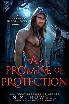 A Promise of Protection by Nicole Marie