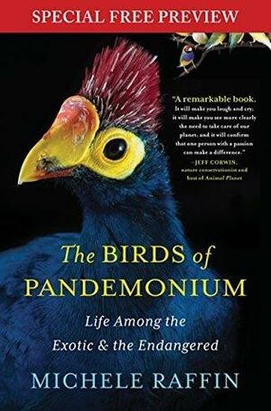 The Birds of Pandemonium: Free Previews - The First 2 Chapters plus Bonus Material by Michele Raffin