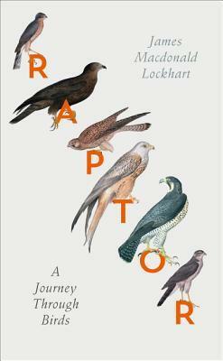 Raptor: A Journey Through Birds by James Macdonald Lockhart