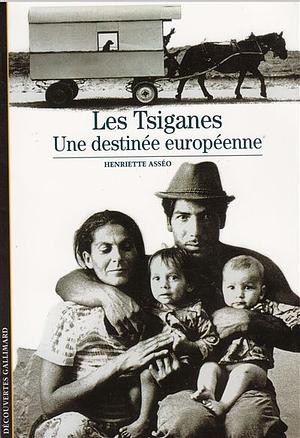 Les Tsiganes, Une destinée européenne by Henriette Asséo