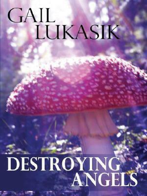 Destroying Angels by Gail Lukasik