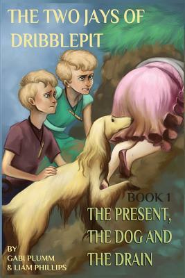 The Two Jays of Dribblepit: Book 1: The Present, the Dog and the Drain by Gabi Plumm, Liam Phillips