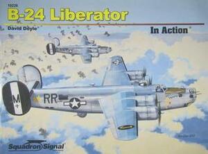 B-24 Liberator in Action - Op by David Doyle