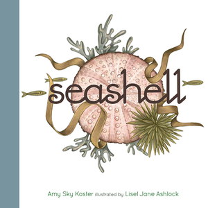 Seashell by Amy Sky Koster