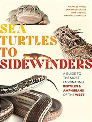 Sea Turtles to Sidewinders: A Guide to the Most Fascinating Reptiles and Amphibians of the West by Erin Westeen, Charles Hood, Jose Martinez-Fonseca