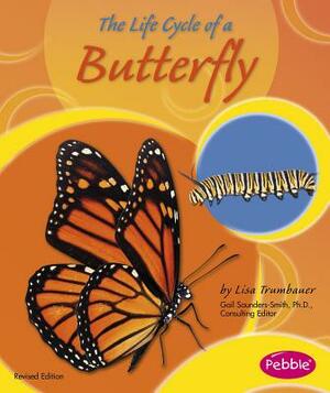 The Life Cycle of a Butterfly by Lisa Trumbauer