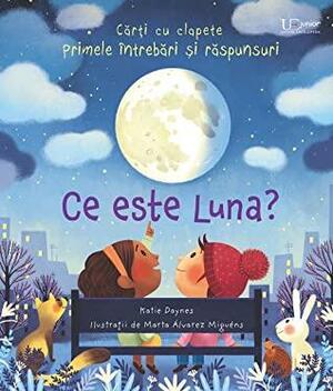 Ce este Luna? by Katie Daynes