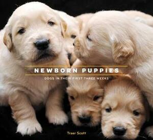 Newborn Puppies: Dogs in Their First Three Weeks by Traer Scott