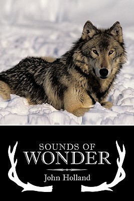 Sounds of Wonder by John Holland