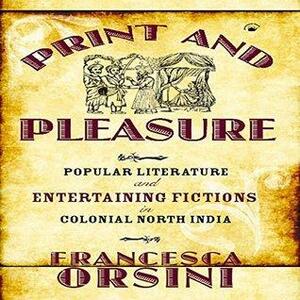 Print and Pleasure: Popular Literature and Entertaining Fictions in Colonial North India by Francesca Orsini