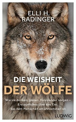 Die Weisheit der Wölfe: Wie sie denken, planen, füreinander sorgen. Erstaunliches über das Tier, das dem Menschen am ähnlichsten ist by Elli H. Radinger