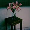 nattymarba's profile picture