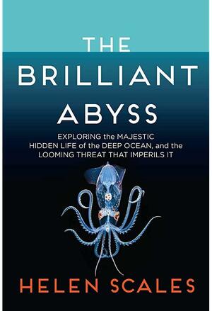 The Brilliant Abyss: Exploring the Majestic Hidden Life of the Deep Ocean, and the Looming Threat That Imperils It by Helen Scales