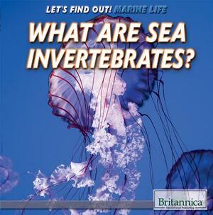 What Are Sea Invertebrates? by Julia J. Quinlan