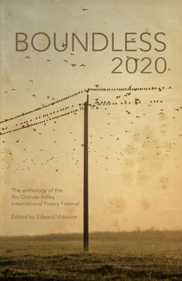 Boundless 2020: the official anthology of the Rio Grande Valley International Poetry Festival by Daniel García Ordaz