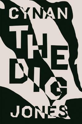 The Dig by Cynan Jones