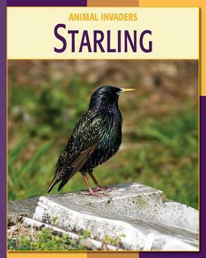 Starling by Susan Heinrichs Gray