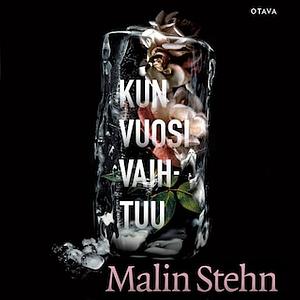 Kun vuosi vaihtuu by Malin Stehn