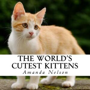 The World's Cutest Kittens: A text-free book for Seniors and Alzheimer's patients by Amanda Nelson