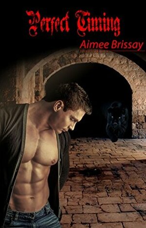Perfect Timing by Aimee Brissay