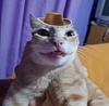 laugirl's profile picture