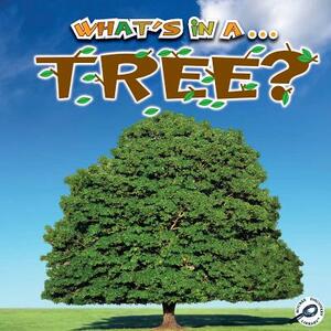 What's in A... Tree? by Tracy Maurer