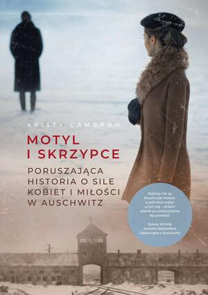 Motyl i skrzypce by Kristy Cambron