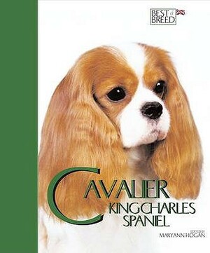 The Cavalier K C Spaniel by Maryann Hogan
