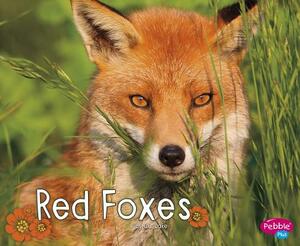 Red Foxes by G. G. Lake