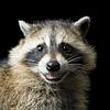 eda1102's profile picture