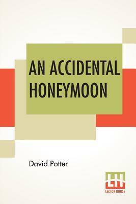 An Accidental Honeymoon by David Potter