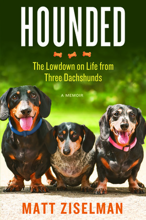 Hounded: The Lowdown on Life from Three Dachshunds by Matt Ziselman