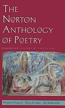 The Norton Poetry Workshop CD-ROM Packaged with the Norton Anthology of Poetry, Shorter by Jon Stallworthy, Mary Jo Salter, Margaret Salter