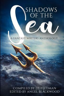 Shadows of the Sea: A Fantasy Writers Anthology by J. E. Feldman
