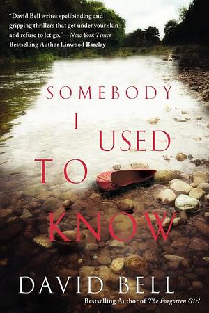 Somebody I Used to Know by David Bell